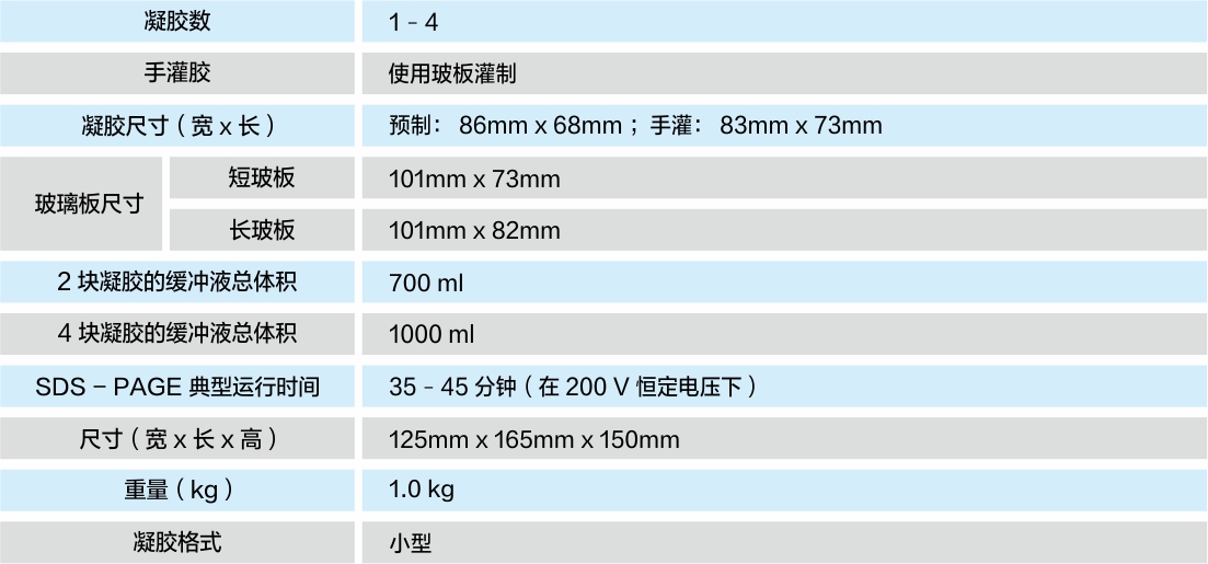 垂直電泳.jpg